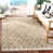 Brown/Light Beige selected