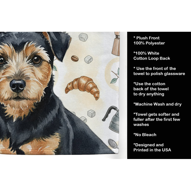 Torchon noir et brun clair Norfolk Terrier, Norfolk Terrier noir et brun clair