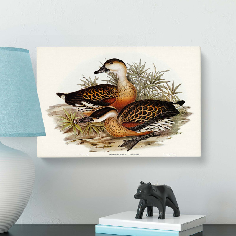 Whistling Ducks by Elizabeth Gould - Wrapped Canvas, 35cm H x 50cm W x 3cm D