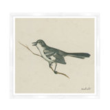 Mockingbird Print