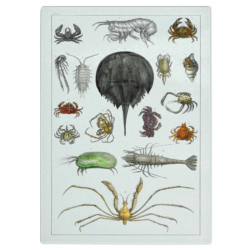 Tempered Glass Crabs and Lobsters Chopping Board, 28.5 cm W x 39 cm L