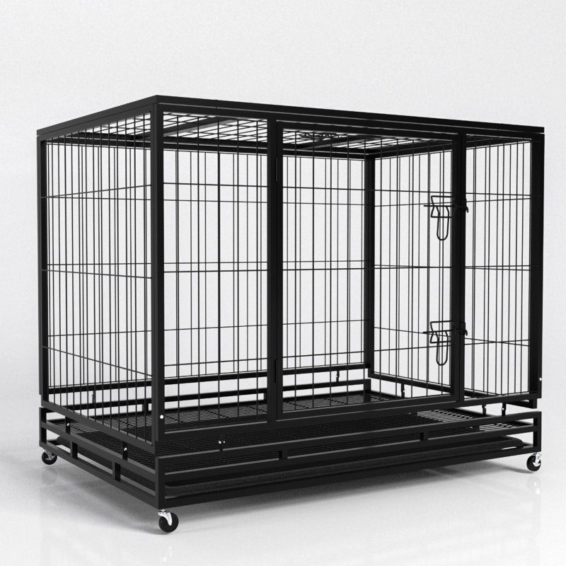 Cage à cage robuste et robuste pour chien, Moyen (H 30 po x l 36 po x P 25 po)