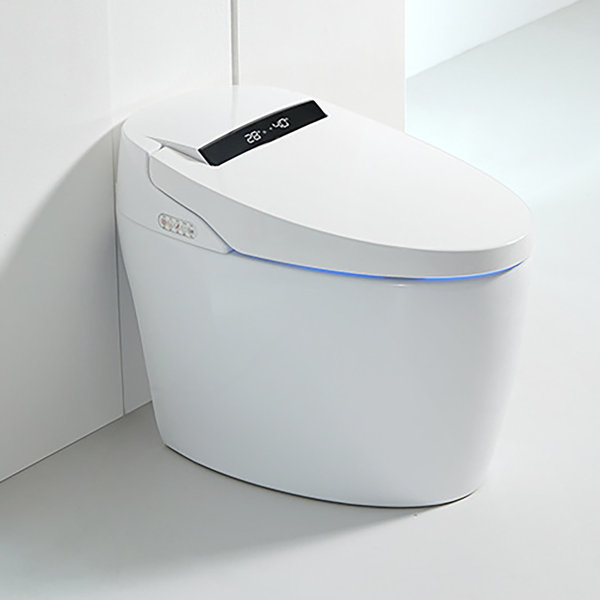 OSTTE Smart Toilet With Built-in Bidet & Heated Seat | Auto Flush, Warm Water Wash, Air Dryer, Remote | Elongated