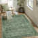 Elyria Performance Oriental Area Rug