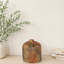 Raw Umber Vase, Stem-2141162775