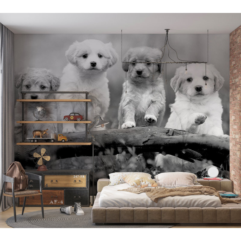 Papier peint animaux - Quatre chiots, L 41 po x l 59 po