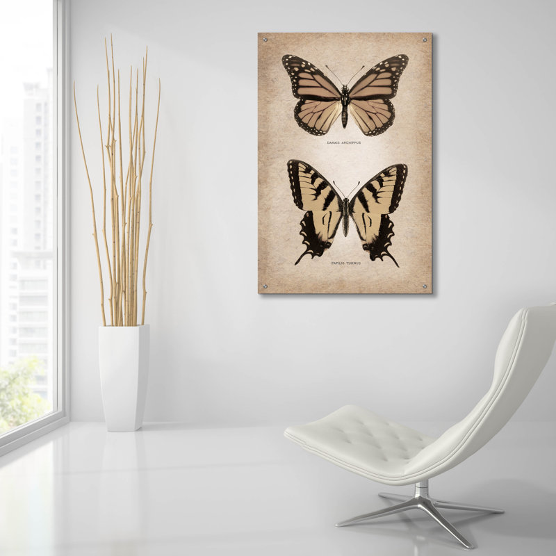 Art mural en verre acrylique épique «Vintage Butterflies Duo 1» par Art Licensing Studio, 24 po x 36 po, H 36 po x l 24 po