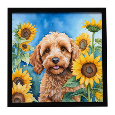 Cockapoo in Sunflowers Framed Metal Print