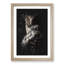 Owl - Framed Print-56856986-56856991