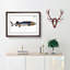 Great Sturgeon Fish by M.E. Bloch - Framed Print-55575389-55575390