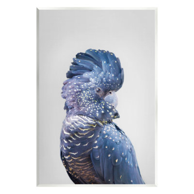 «Stupell Industries Grey Cockatoo Portrait», art mural sur toile par Sissi et Seb