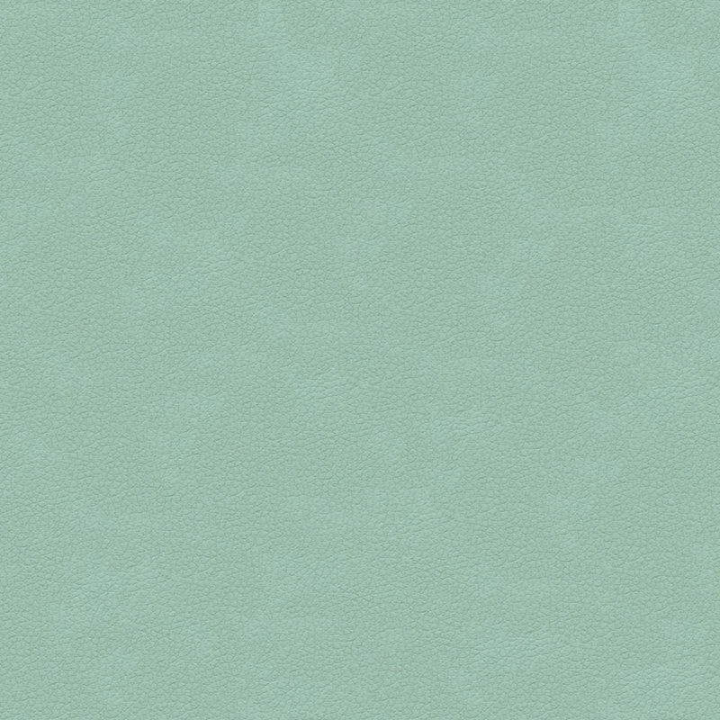 Fabric, Light Blue