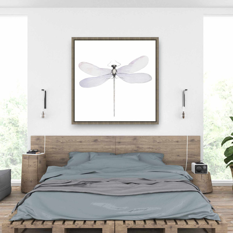 Delicate dragonfly - Insect Gray Framed Canvas