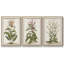 «Munting Botanicals I», ensemble de 3 reproductions encadrées sur toile-97708491-97708492