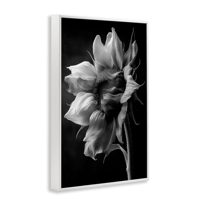 Giclée de tournesol Stark Contrast, conception par Annabelle Hall, H 18 po x l 12 po