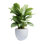 Dorlis Handmade Pot Planter