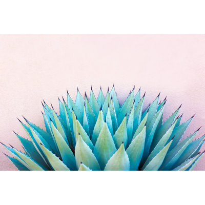 Blue Agave by Jannhuizenga