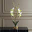 Sabot de Vénus en vase de verre