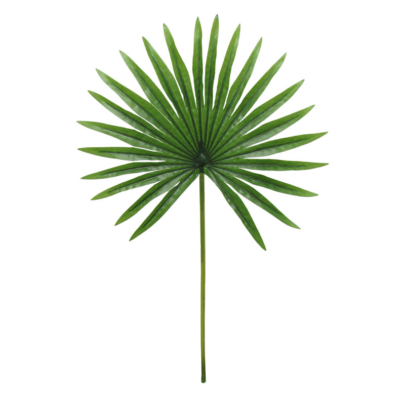 Feuille de palmier artificielle, 20" L x 12" W x 0.5" DP