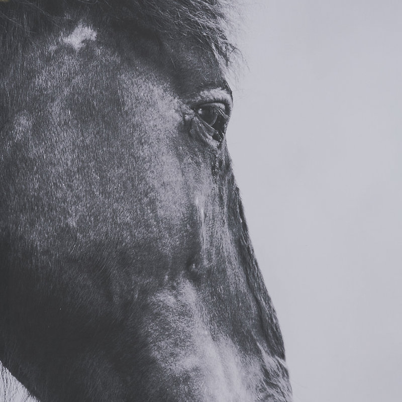 «Silent Gaze» par Chad Mackay, reproduction d'art encadrée sous verre
