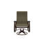 Belle Isle Outdoor Dining Chair-404339575-404339546