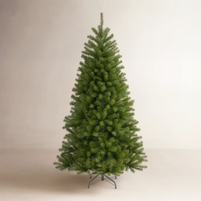  North Valley Spruce Tree