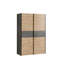 Rauf Manufactured Wood Wardrobe