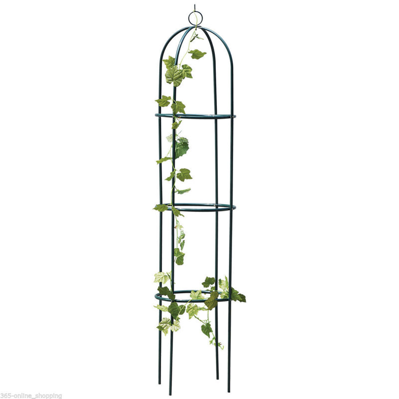 Santina 190cm H x 39cm W Steel Obelisk Trellis