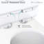 Toilette allongée une pièce Cannes 1,6 GPF