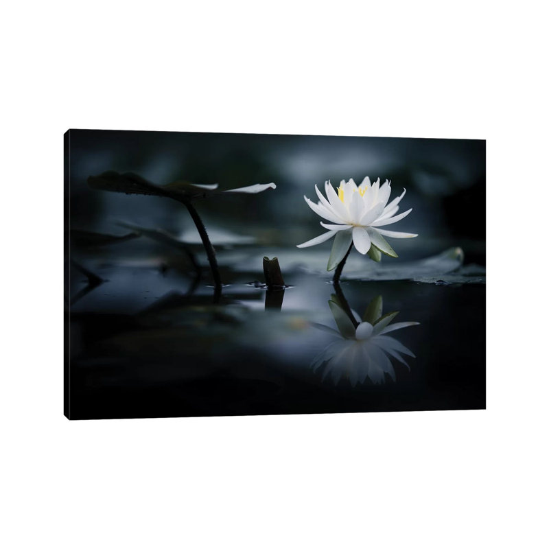 Reflection by Takashi Suzuki - Print on Canvas, 66.04 cm H x 45.72 cm W x 3.175 cm D, Wrapped Canvas