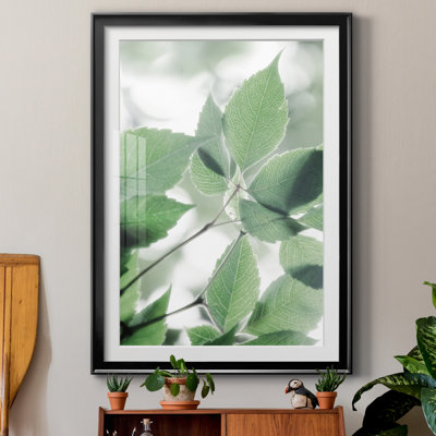 «Fields of Green I» par Irene Weisz - reproduction de photo sur papier encadrée