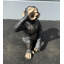 Statue boozy chimpanzé