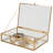 Pindall Glass Memory Box