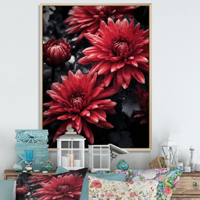 «Red Gray Mums Spendor», reproduction sur toile