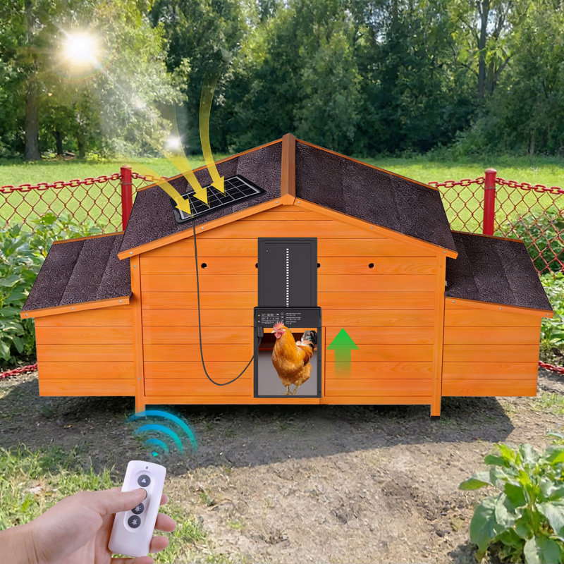 Poulailler automatique avec porte à énergie solaire, conception résistante aux intempéries, ventilée, avec 2 nichoirs, minuterie et capteur de lumière - poulailler extérieur durable avec plateau coulissant pour un nettoyage facile
