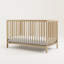 Teddi 5-In-1 Convertible Crib-98727687