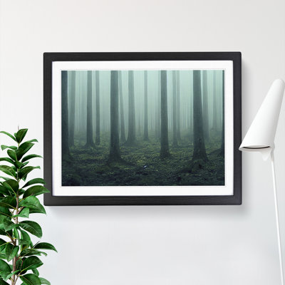 A Captivating Forest - Single Picture Frame Print