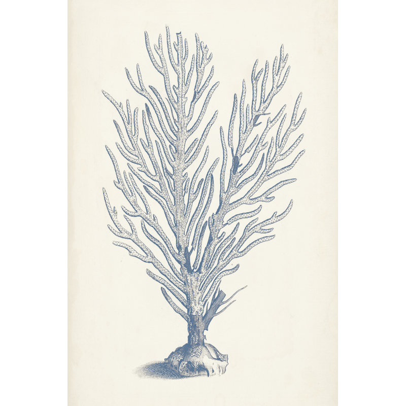 Antique Coral Collection II - Graphic Art, 46cm H x 30cm W, Wrapped Canvas