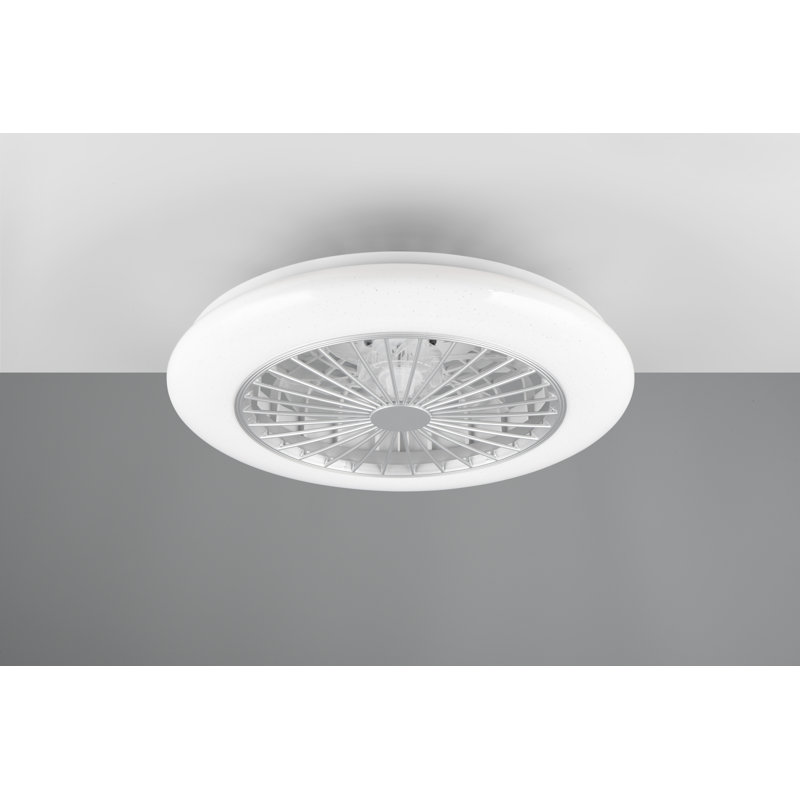 Ehrentraud 50cm Ceiling Fan with LED Lights, White