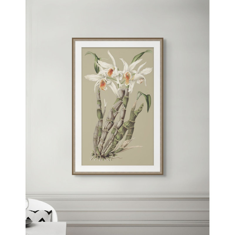 Botanical Jungle 1 Print, 38.75" H x 25.75" W