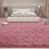 BeanPastePink