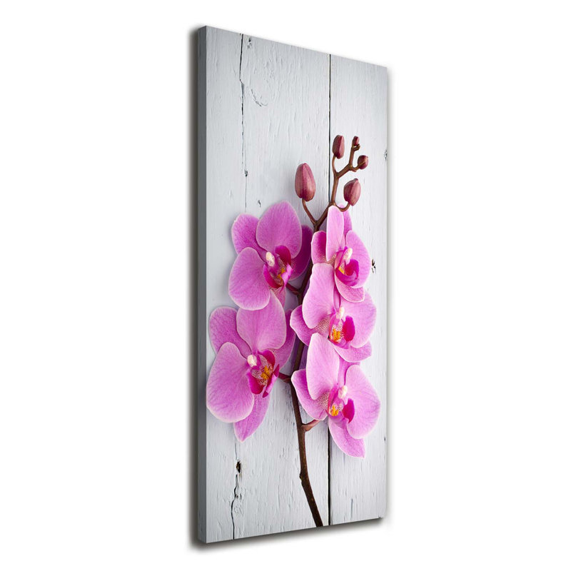 Pink Orchid - Wrapped Canvas Print