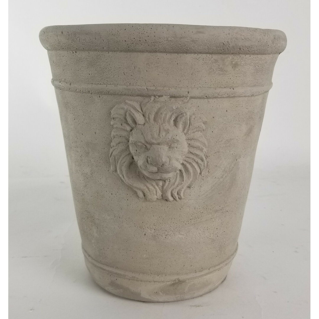 Kyzin Pot Planter Bungalow Rose
