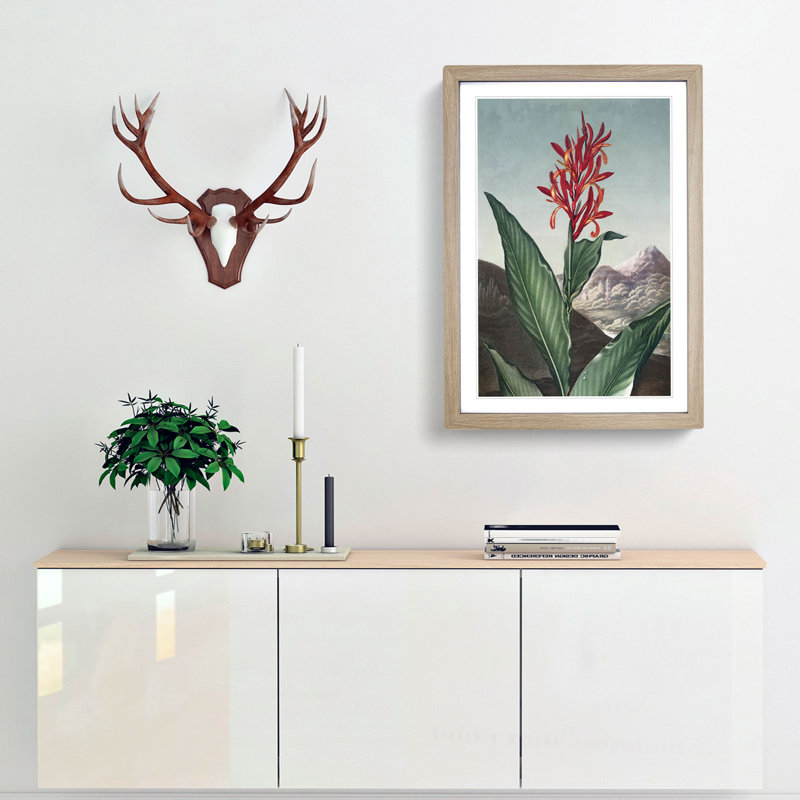 Indian Reed Flower by R.J. Thornton - Picture Frame Painting Print, 65cm H x 48cm W x 2cm D, Oak Framed
