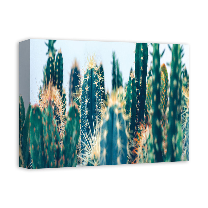 Jardin de cactus sur toile, H 12 po x l 16 po x P 1,25 po