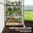 Greenhouse-124420952