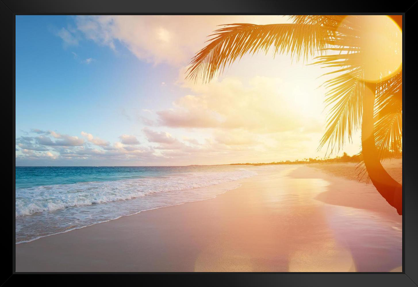 Rosecliff Heights Beautiful Tropical Sandy Beach Palm Trees Ocean ...