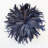 Black Juju Hat Feather Wall Art