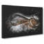 Alligator Watchful Eye - Wrapped Canvas-56648139