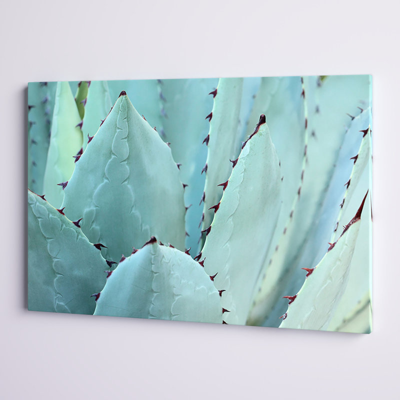 «Cactus», reproduction d'art sur toile tendue, H 30 po x l 45 po x p 1,5 po